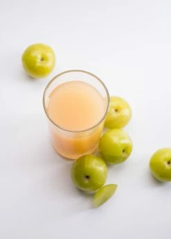 Sow Exotic Amla, Indian Gooseberry (Phyllanthus Emblica)