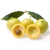 Sow Exotic Rose Apple (Syzygium Jambos)