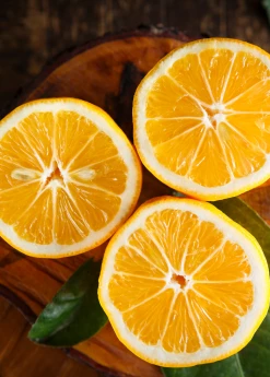 Sow Exotic Tropical Fruit & Spice Trees Meyer Lemon (Citrus × Meyeri)