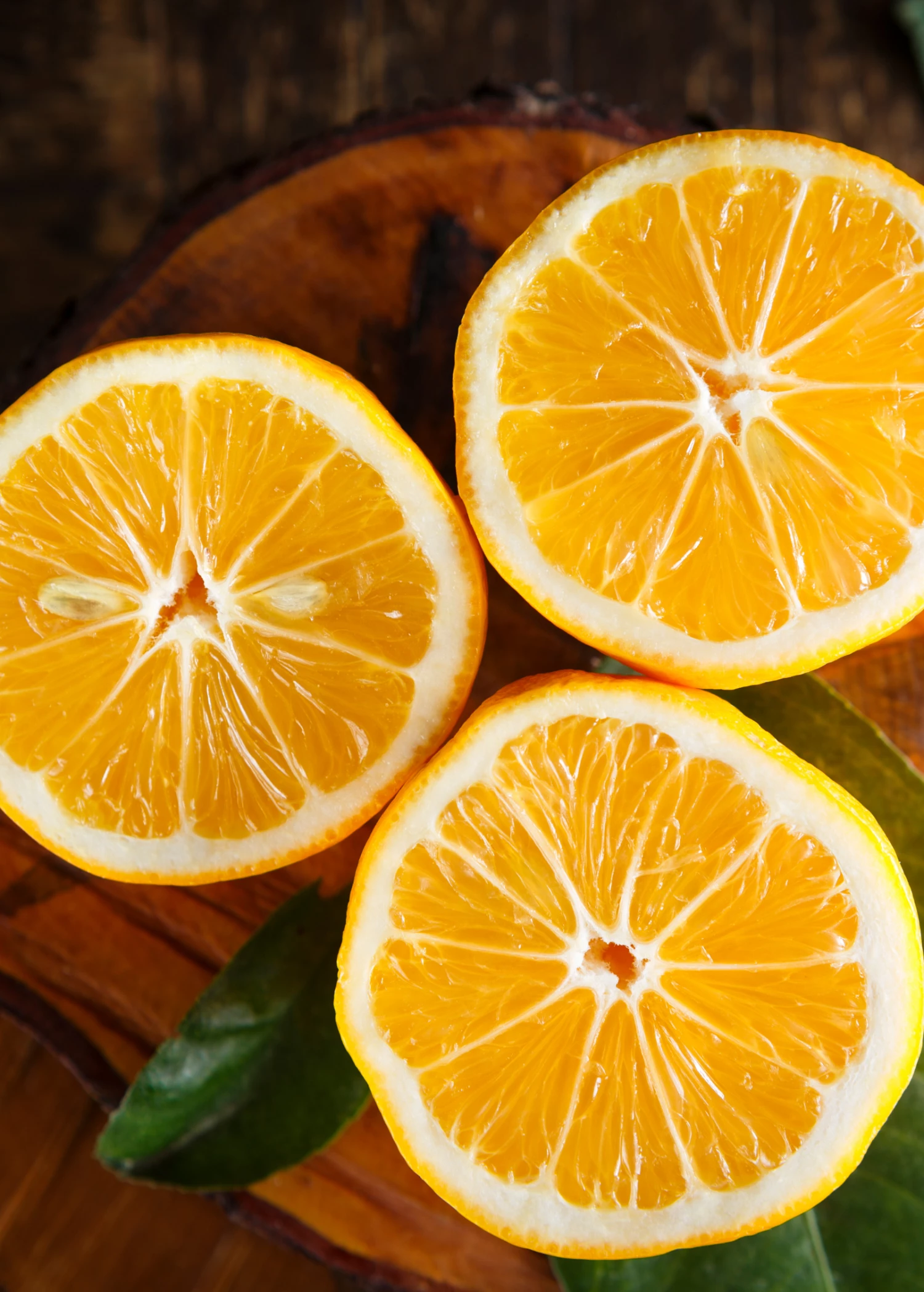 Sow Exotic Tropical Fruit & Spice Trees Meyer Lemon (Citrus × Meyeri) 1 Sow Exotic Tropical Fruit & Spice Trees Meyer Lemon (Citrus × Meyeri)