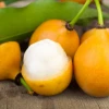 Sow Exotic Tropical Fruit & Spice Trees Achacha, Achachairú (Garcinia Humilis)
