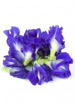 Sow Exotic Butterfly Pea (Clitoria Ternatea)