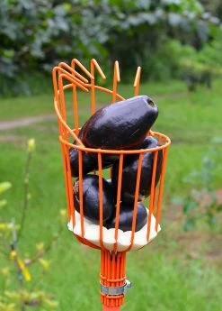 Sow Exotic Fruit Picker