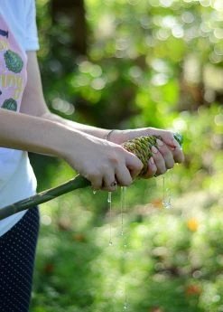 Sow Exotic New Arrivals Awapuhi Shampoo Ginger Flower Cones