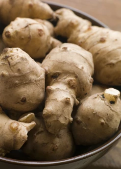 Sow Exotic Rare Fruiting Plants Jerusalem Artichoke (Helianthus Tubersosus)