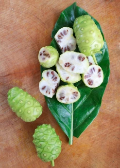 Sow Exotic Noni (Morinda Citrifolia) Tropical Fruit & Spice Trees
