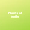 Sow Exotic Plants Of India Bundle 🇮🇳 New Arrivals