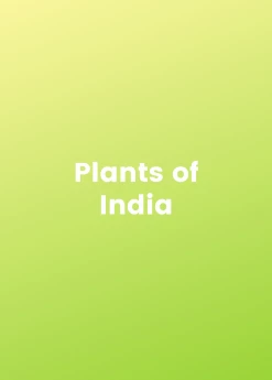Sow Exotic Plants Of India Bundle 🇮🇳 New Arrivals