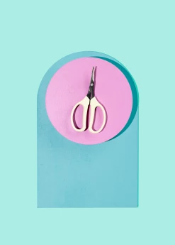 Terrebonne Angled Blade Fruit Scissor Garden Tools