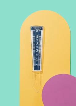 Terrebonne Garden Tools Magnifying Rain Gauge