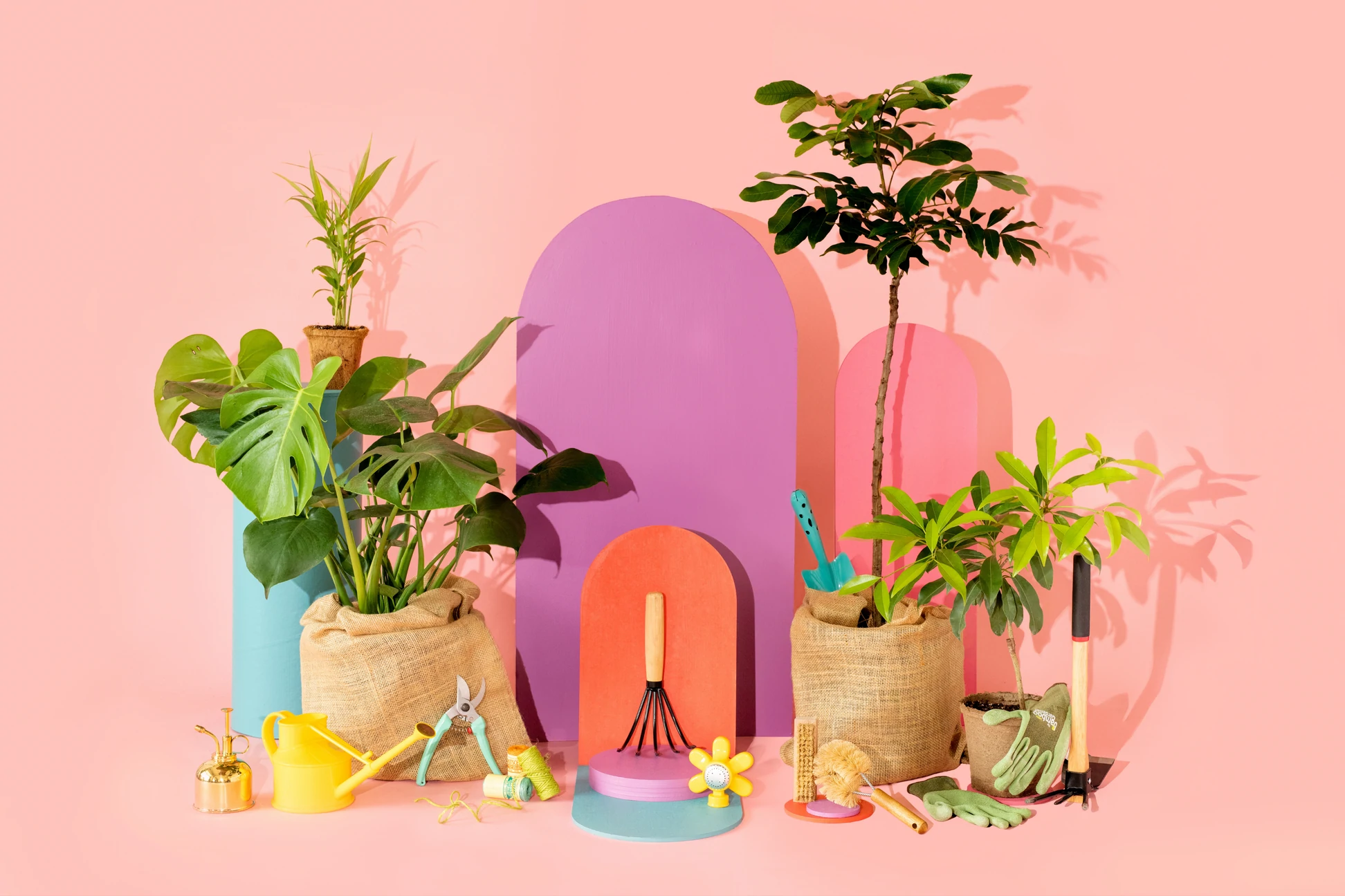 Deals Sow Exotic Store -Deals Sow Exotic Store Sow Exotic Plants Tools dfc8618d 8aa5 4f8d bc56