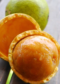 Sow Exotic Monkey Orange (Strychnos Spinosa) Tropical Fruit & Spice Trees