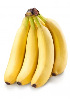 Sow Exotic Banana 'Grand Nain' (Musa)