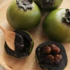 Sow Exotic Black Sapote ‘Reineke’ (Diospyros Nigra) Tropical Fruit & Spice Trees