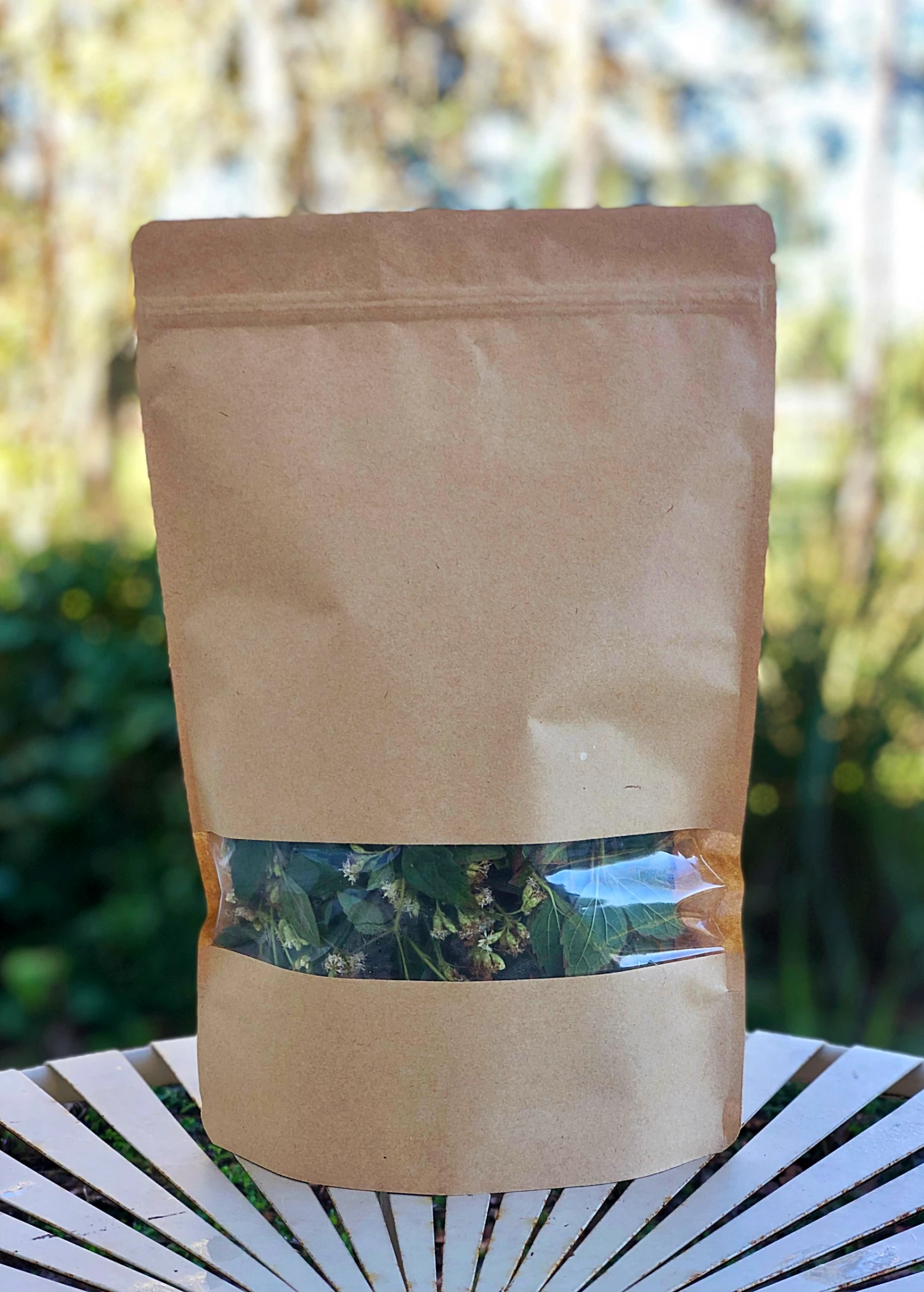 Sow Exotic Calea Dream Herb, Fresh New Arrivals 3 Sow Exotic Calea Dream Herb, Fresh New Arrivals