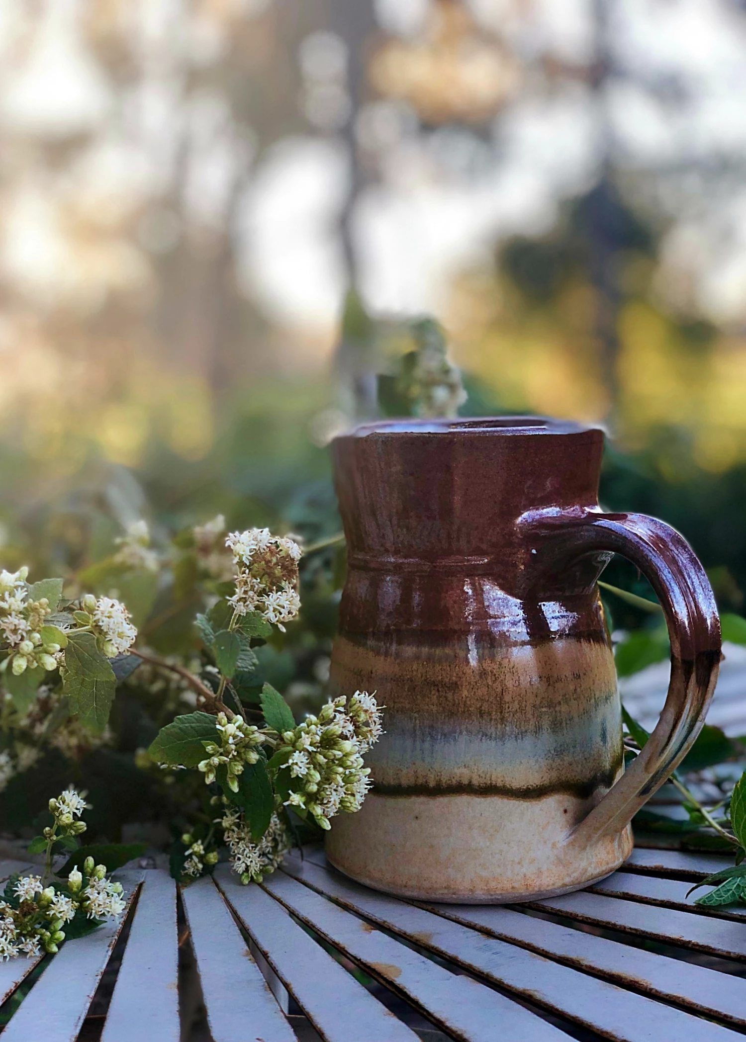 Sow Exotic Calea Dream Herb, Fresh New Arrivals 2 Sow Exotic Calea Dream Herb, Fresh New Arrivals