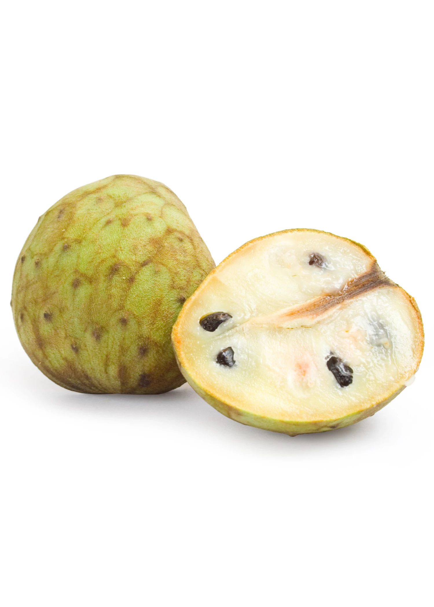 Sow Exotic Cherimoya (Annona Cherimola) Tropical Fruit & Spice Trees 3 Sow Exotic Cherimoya (Annona Cherimola) Tropical Fruit & Spice Trees