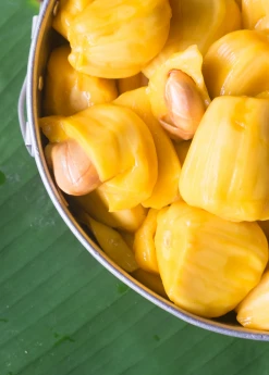 Sow Exotic Tropical Fruit & Spice Trees Jackfruit 'Crunchy' (Artocarpus Heterophyllus)