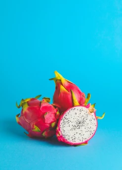 Sow Exotic Rare Fruiting Plants Dragon Fruit, White 'Vietnamese Jaina' (Hylocereus Undatus)