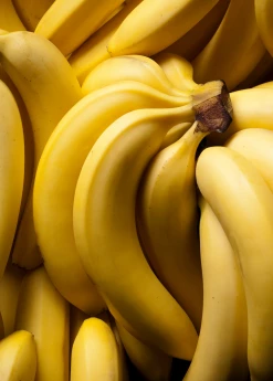 Sow Exotic Tropical Fruit & Spice Trees Banana 'Dwarf Cavendish' (Musa Acuminata)