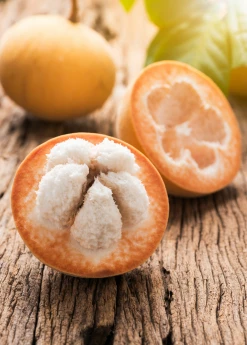 Sow Exotic Tropical Fruit & Spice Trees Santol (Sandoricum Koetjape)