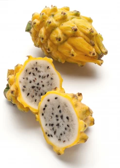 Sow Exotic Dragon Fruit, Yellow (Selenicereus Megalanthus)