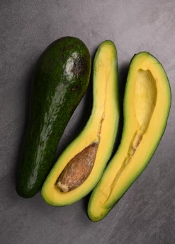 Sow Exotic Tropical Fruit & Spice Trees Avocado 'Russel' (Long Neck!) (Persia Americana)