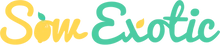 Deals Sow Exotic Store