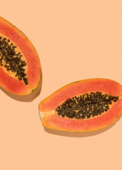 Sow Exotic Papaya, 'Dwarf Red Lady' (Carica Papaya) Tropical Fruit & Spice Trees