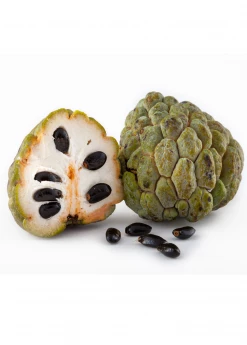 Sow Exotic Sugar Apple 'Thai Lessard' (Annona Squamosa L)