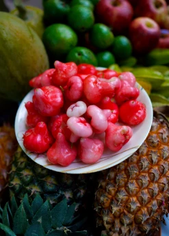 Sow Exotic Wax Jambu (Syzygium Samarangense) Tropical Fruit & Spice Trees